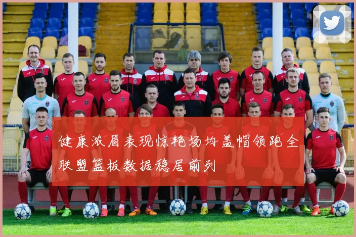 健康浓眉表现惊艳场均盖帽领跑全联盟篮板数据稳居前列