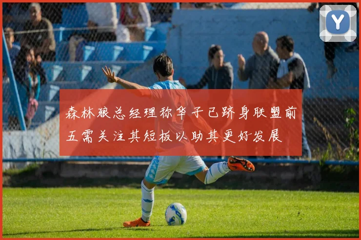 森林狼总经理称华子已跻身联盟前五需关注其短板以助其更好发展