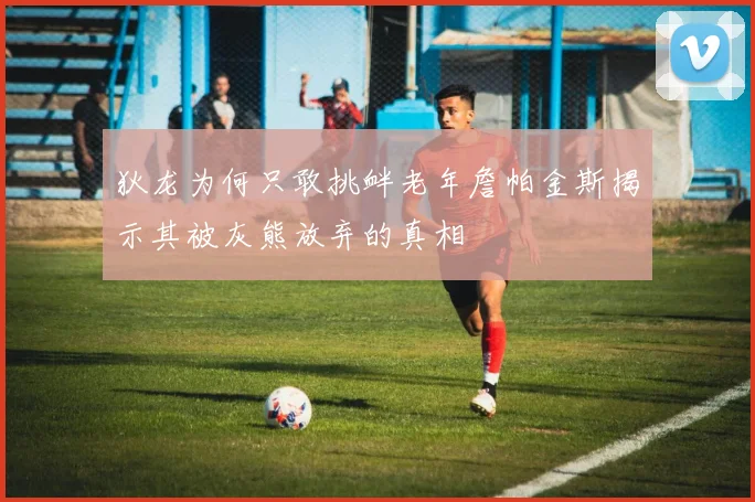 狄龙为何只敢挑衅老年詹帕金斯揭示其被灰熊放弃的真相