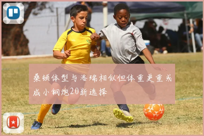 桑顿体型与洛瑞相似但体重更重或成小钢炮20新选择